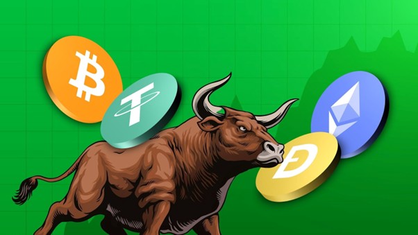 BULL-presale.jpg