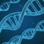 dna-1811955_1920.jpg